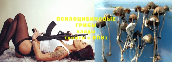 герыч Пестово