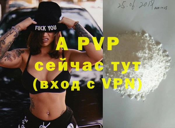 ПСИЛОЦИБИНОВЫЕ ГРИБЫ Пересвет