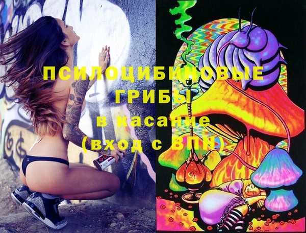 ПСИЛОЦИБИНОВЫЕ ГРИБЫ Пересвет