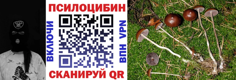 МЕГА ссылки  Сертолово  Галлюциногенные грибы мицелий 