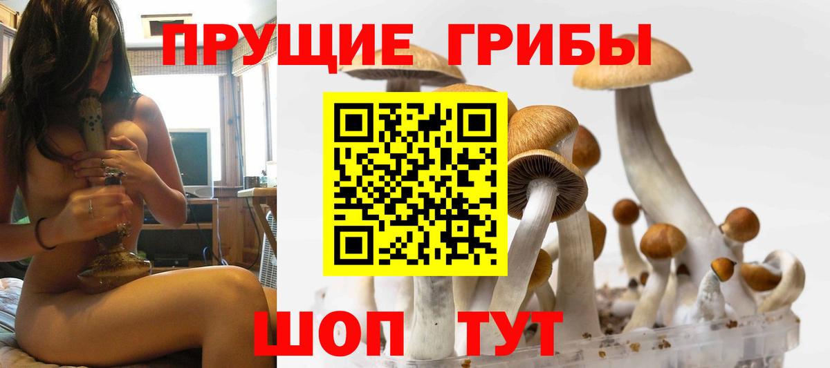 Галлюциногенные грибы Magic Shrooms  Вход с VPN  Сертолово 