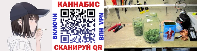 Конопля план  Сертолово 